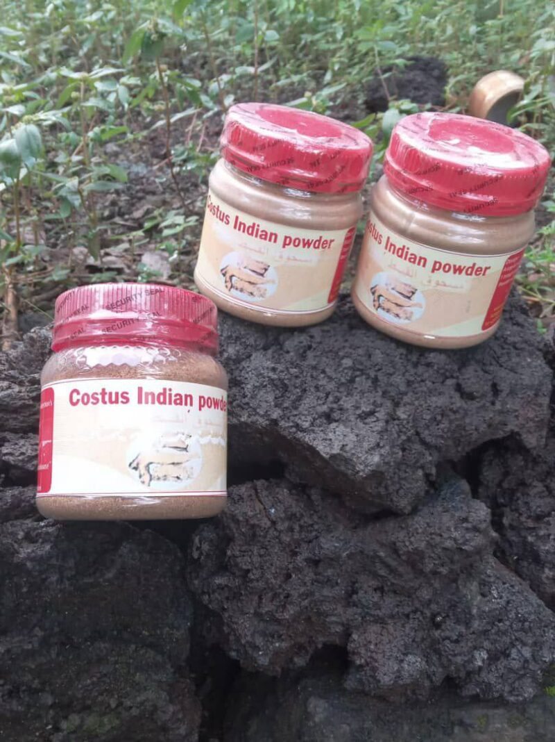 Costus indien en poudre, traitement des migraines, l’infertilité ou les troubles gastriques